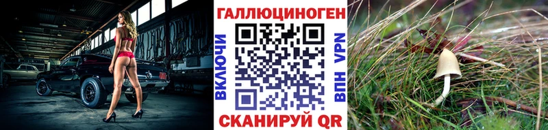 Галлюциногенные грибы ЛСД  Суджа 